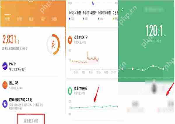 怎么查看小米体脂称历史记录