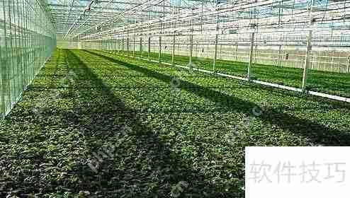 大田种植监控系统开发公司哪家好？