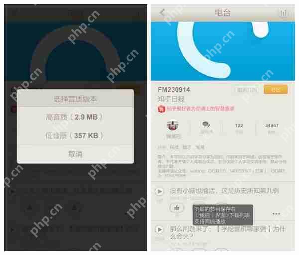 荔枝FM怎么下载节目？