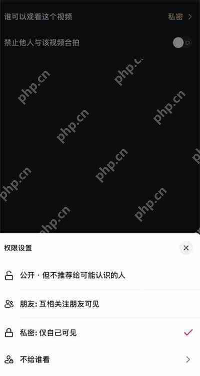 抖音怎么设置私密视频