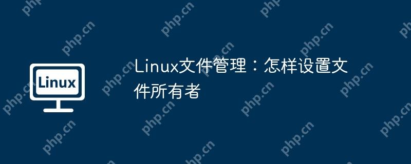 linux文件管理：怎样设置文件所有者