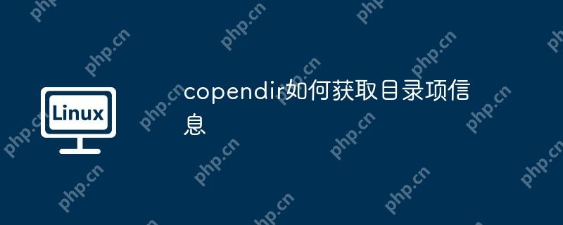 copendir如何获取目录项信息
