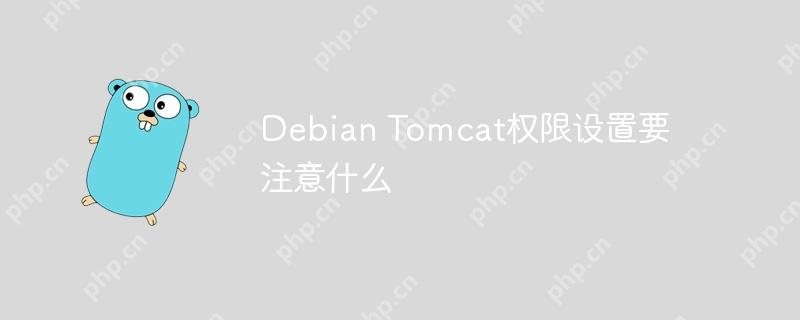 debian tomcat权限设置要注意什么