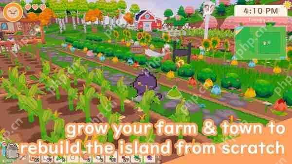 《猫咪牧场物语》正式登陆Steam 特别好评治愈系