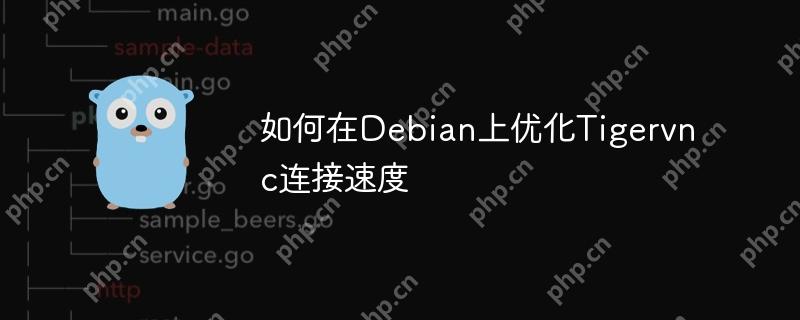 如何在debian上优化tigervnc连接速度