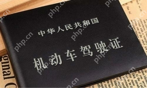 电子驾驶证获取随机数据异常怎么办