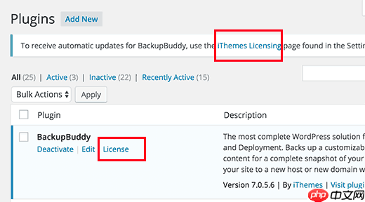如何使用 BackupBuddy 确保 WordPress 内容安全