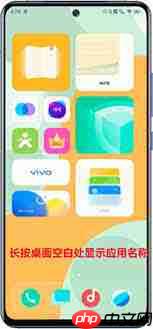 vivo手机切换经典桌面在哪里