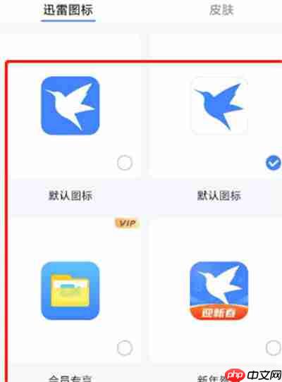 迅雷app怎么设置个性化图标