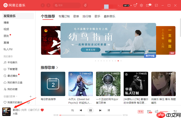 网易云音乐怎么开启全屏纯享
