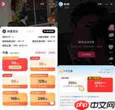 红果短剧ViP和不是viP有啥区别