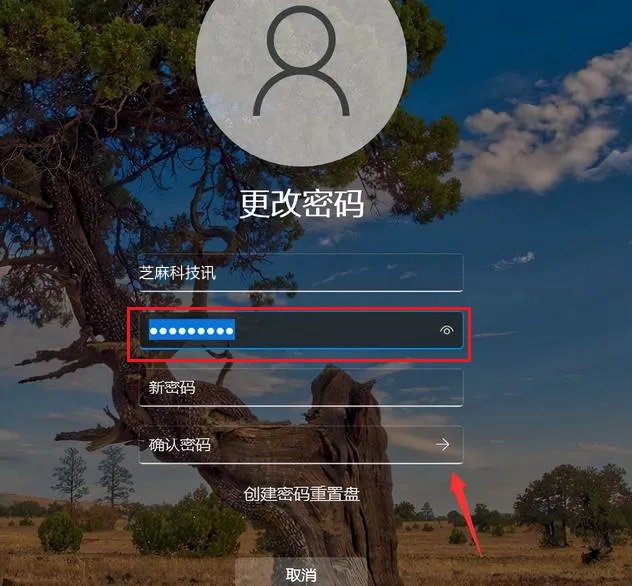 Win11开机密码怎么取消?Win11关闭锁屏密码图文教程 Win11开机密码怎么取消?Win11关闭锁屏密码图文教程