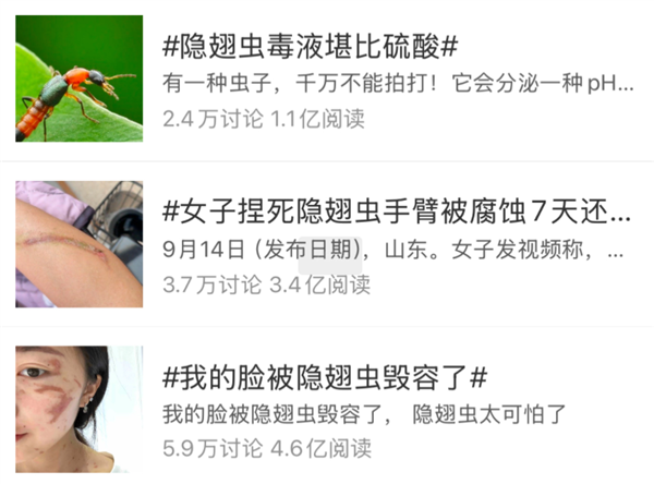 有人因此“毁容”！近期这种虫子很活跃 遇到千万不能拍