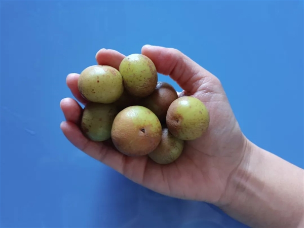 这种水果维生素C含量是橙子8倍！被誉为便秘人士救星