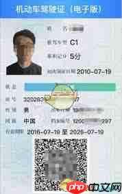 如何在交管12123查看电子驾驶证