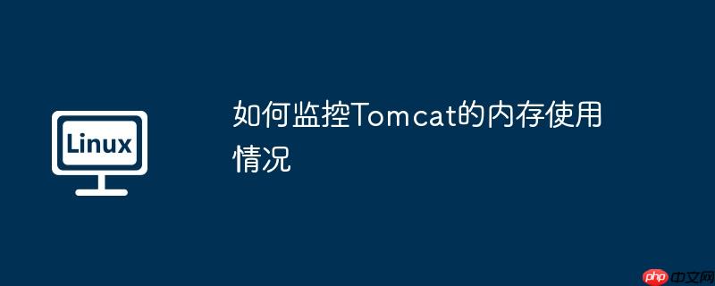 如何监控tomcat的内存使用情况
