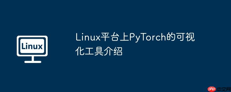 linux平台上pytorch的可视化工具介绍
