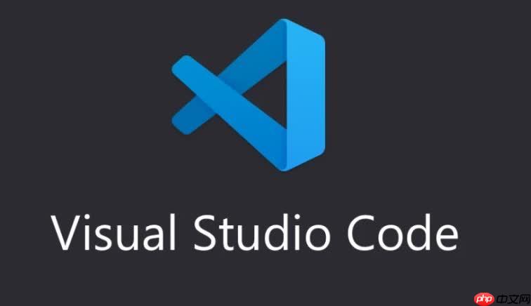 在 VSCode 中使用 Jupyter Notebook 插件的常见问题汇总