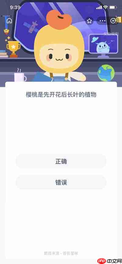 樱桃先开花后长叶真的吗