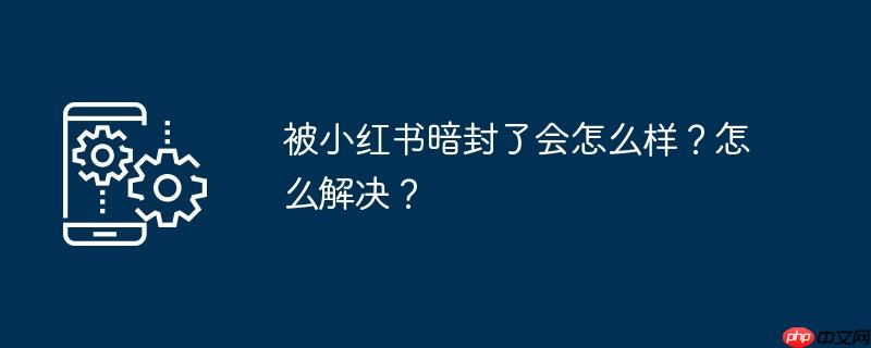 被小红书暗封了会怎么样？怎么解决？