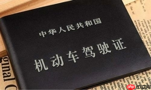 12123电子驾照哪些城市能用