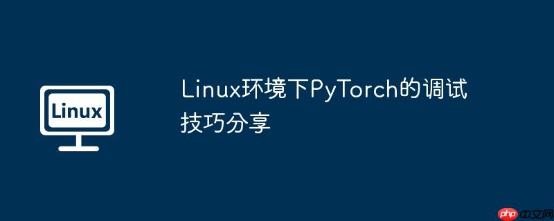 linux环境下pytorch的调试技巧分享
