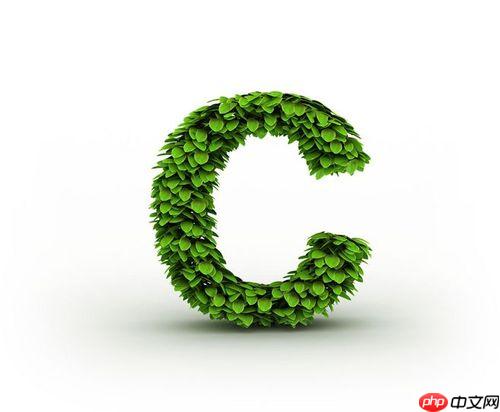 c++中的运算符有哪些 C++运算符完整列表说明