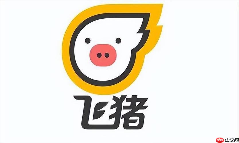 飞猪旅行能开发票吗 飞猪旅行发票开具条件及类型说明