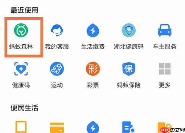 支付宝环保证书在哪里查看