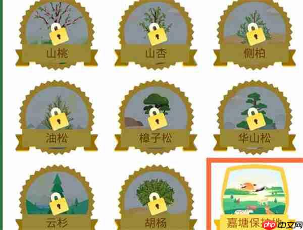 支付宝环保证书在哪里查看