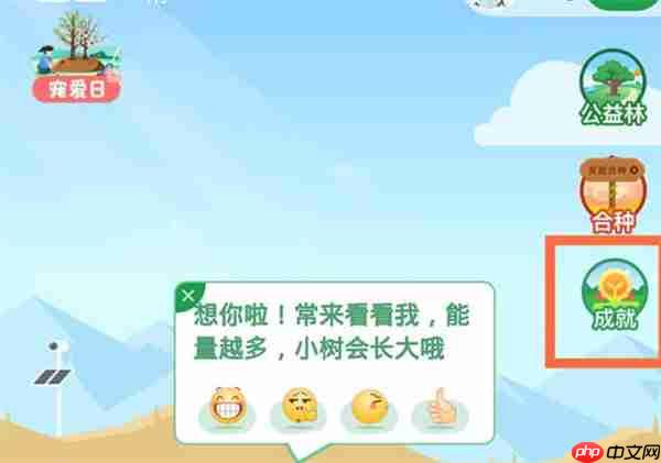 支付宝环保证书在哪里查看