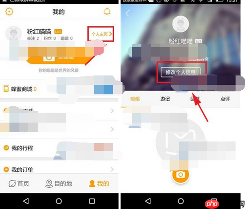 蚂蜂窝自由行APP如何设置背景？蚂蜂窝自由行设置背景的方法分享