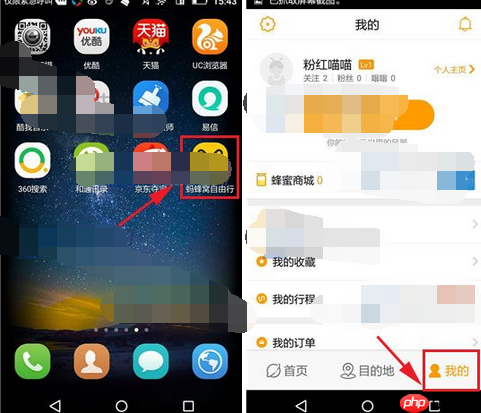 蚂蜂窝自由行APP如何设置背景？蚂蜂窝自由行设置背景的方法分享