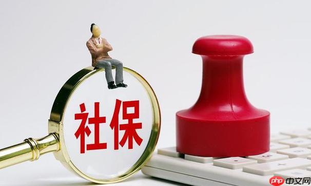 社保查询个人账户缴费明细查询 如何查询个人社保缴费明细记录