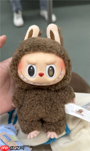 Labubu隐藏款有哪些 labubu隐藏款怎么抽