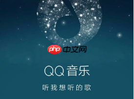QQ音乐歌单个性化模式有什么用