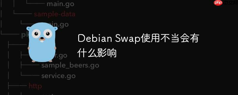 debian swap使用不当会有什么影响