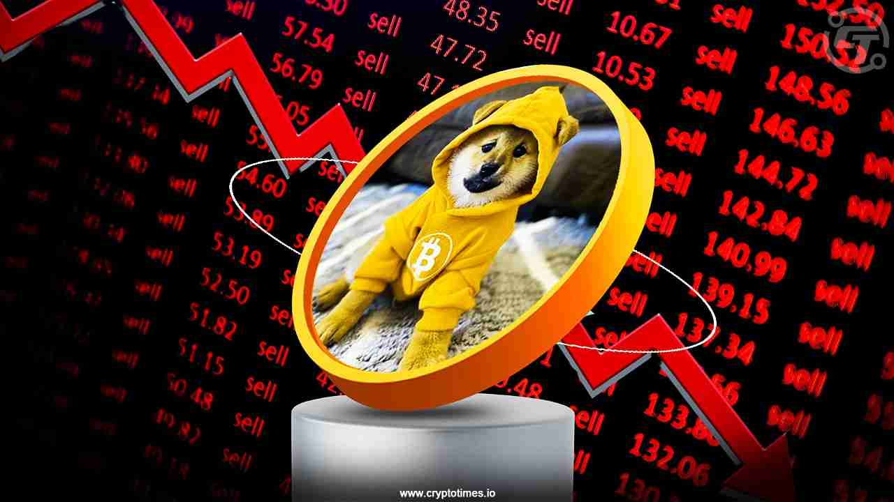 狗比特币，以社区为主导的纪念物在比特币区块链上运行，下降13.33％