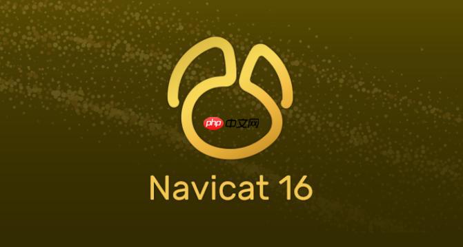 Navicat导入大文件内存不足大文件导入时的内存优化配置技巧