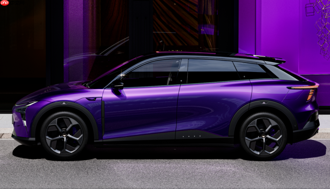 极越汽车就线上商城发货延迟致歉：订单激增致打包延迟