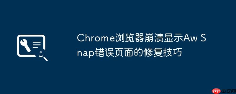 Chrome浏览器崩溃显示Aw Snap错误页面的修复技巧