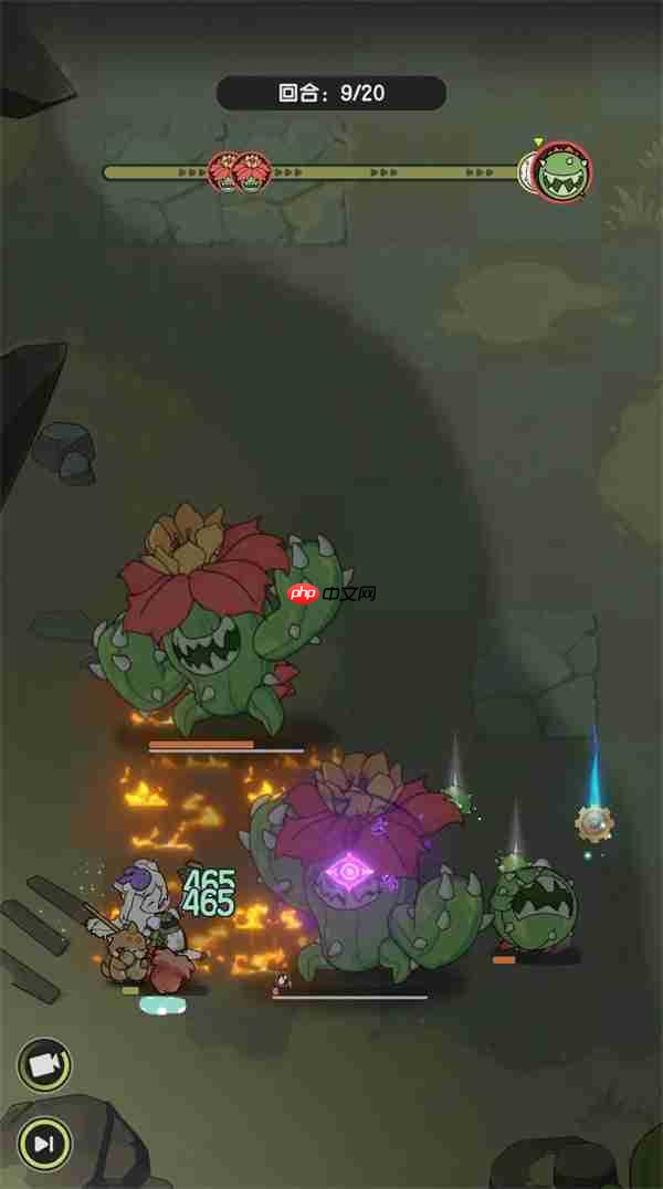 杖剑传说双仙人掌贤者通关方法分享