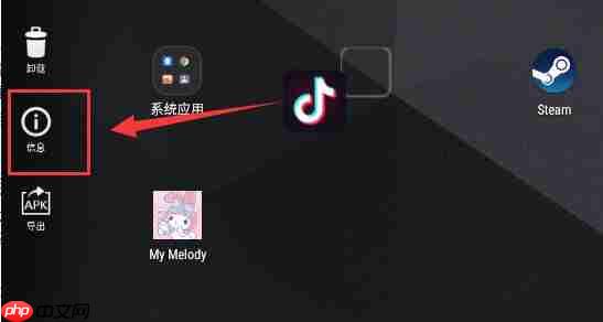 雷电模拟器储存权限怎么打开？雷电模拟器储存权限打开方法