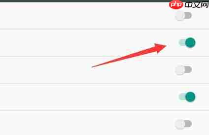 雷电模拟器储存权限怎么打开？雷电模拟器储存权限打开方法
