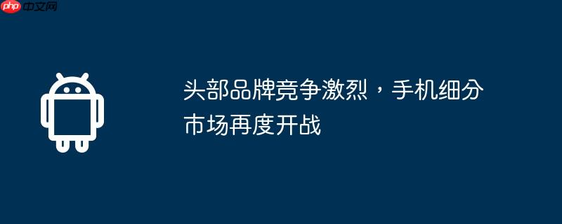 头部品牌竞争激烈，手机细分市场再度开战