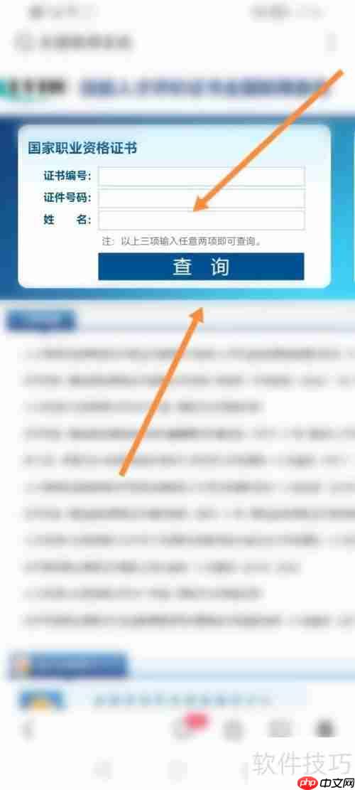 全国联网查询系统：如何进行查询操作