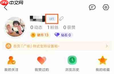 QQ看点怎么查看等级