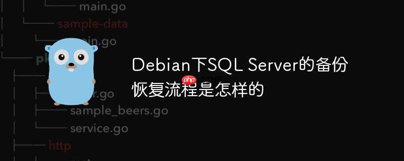 debian下sql server的备份恢复流程是怎样的