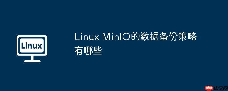 linux minio的数据备份策略有哪些