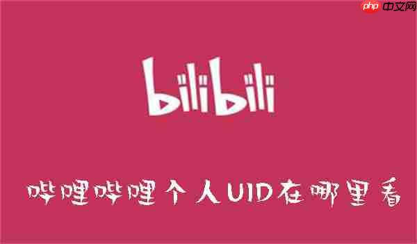 哔哩哔哩个人UID在哪里看